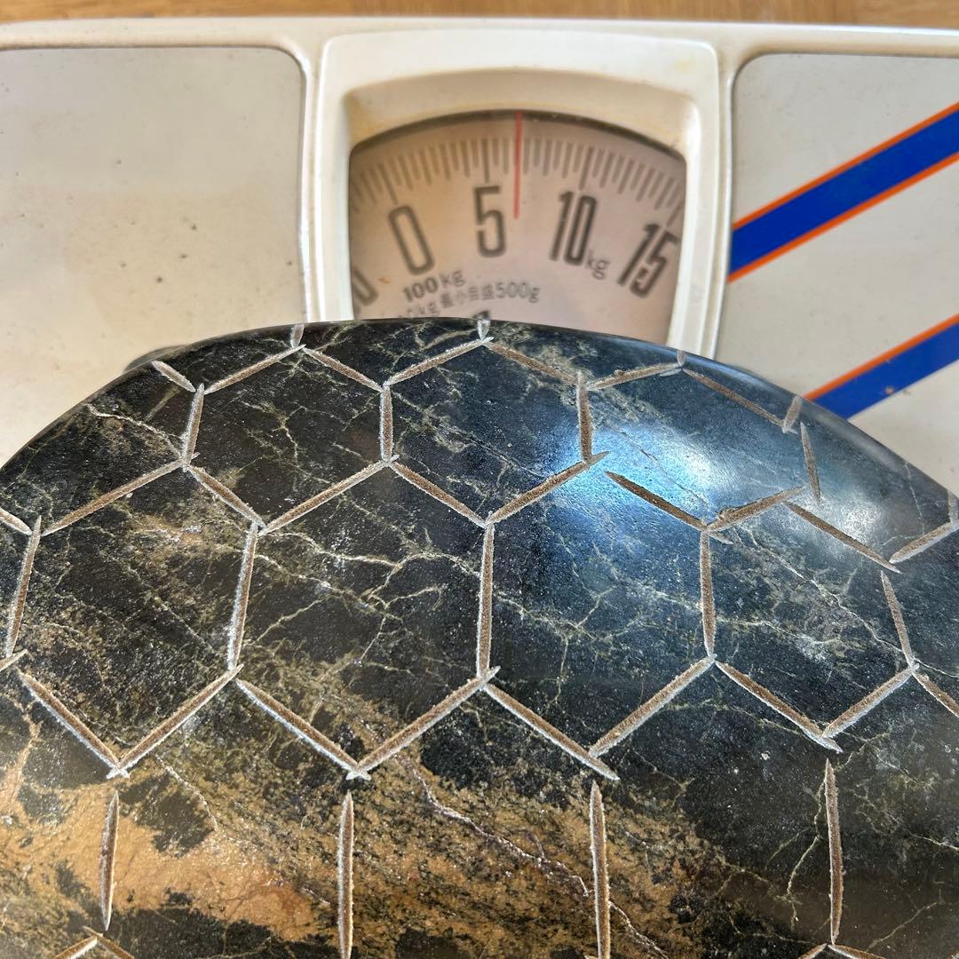 【特大】天然石 カメ 置物　重量6.5kg、30cm超え