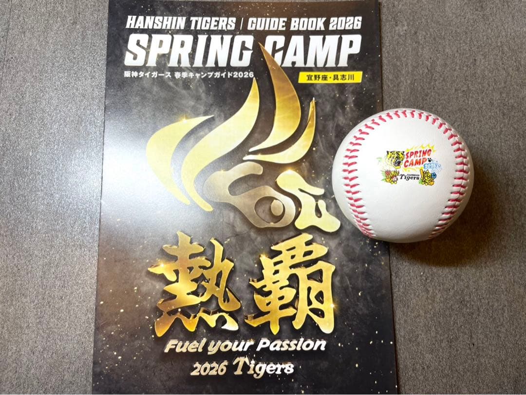 阪神タイガース 才木浩人 直筆サインボール 2026沖縄キャンプ限定球