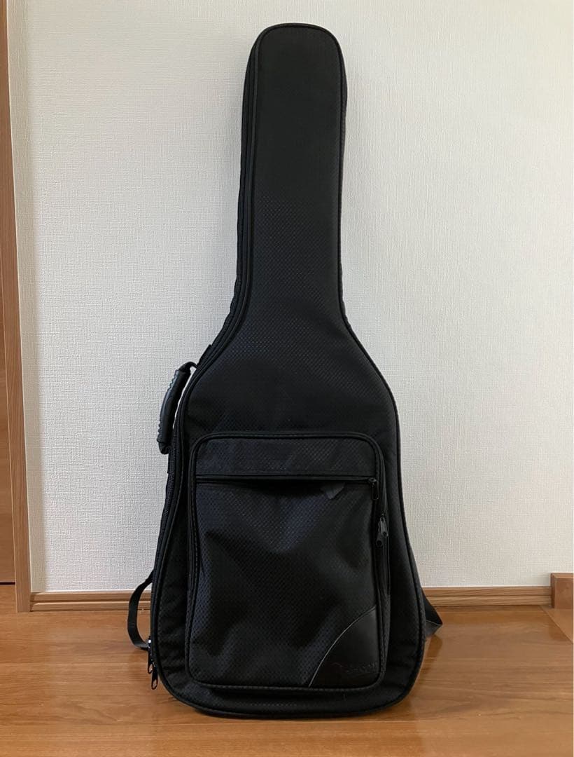 ギター Catalyst Jakkerman Jan Akkerman model