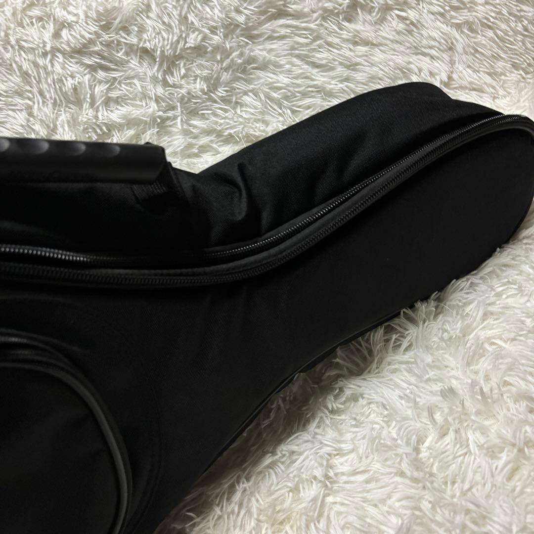 ibanez アイバニーズ マンドリン M510DVS 海外インポート ケース付