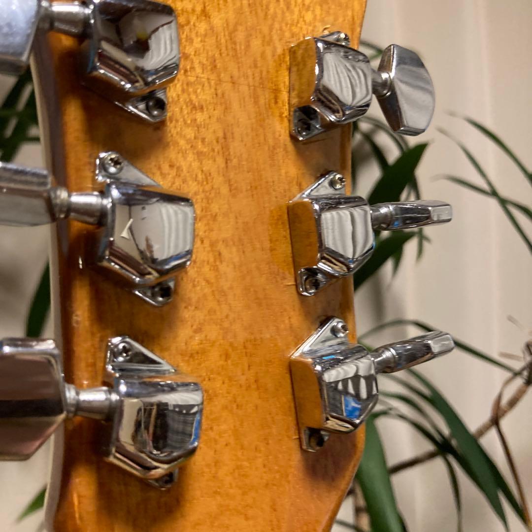 Sekovaフルアコ Greco EG135 US輸出仕様 60s後半 フジゲン