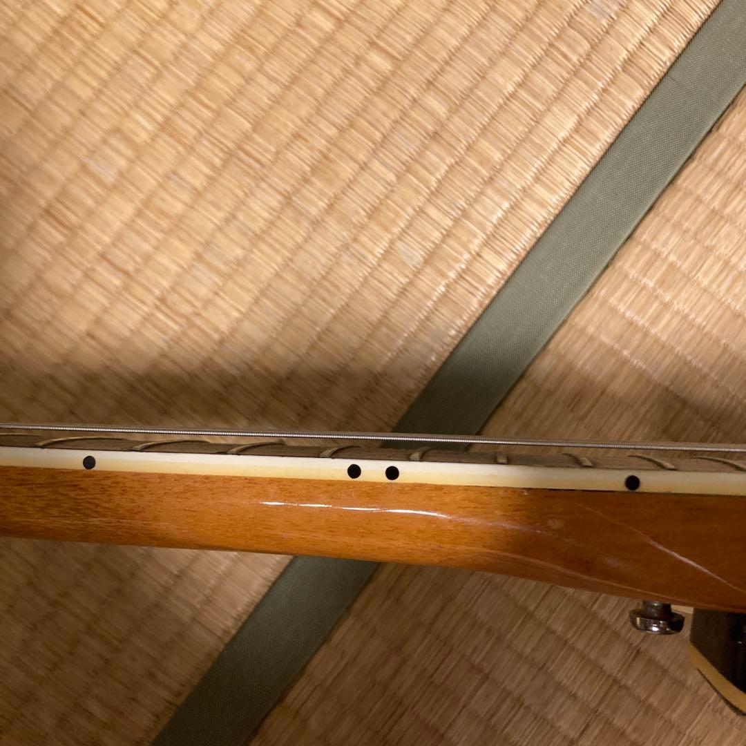 Sekovaフルアコ Greco EG135 US輸出仕様 60s後半 フジゲン