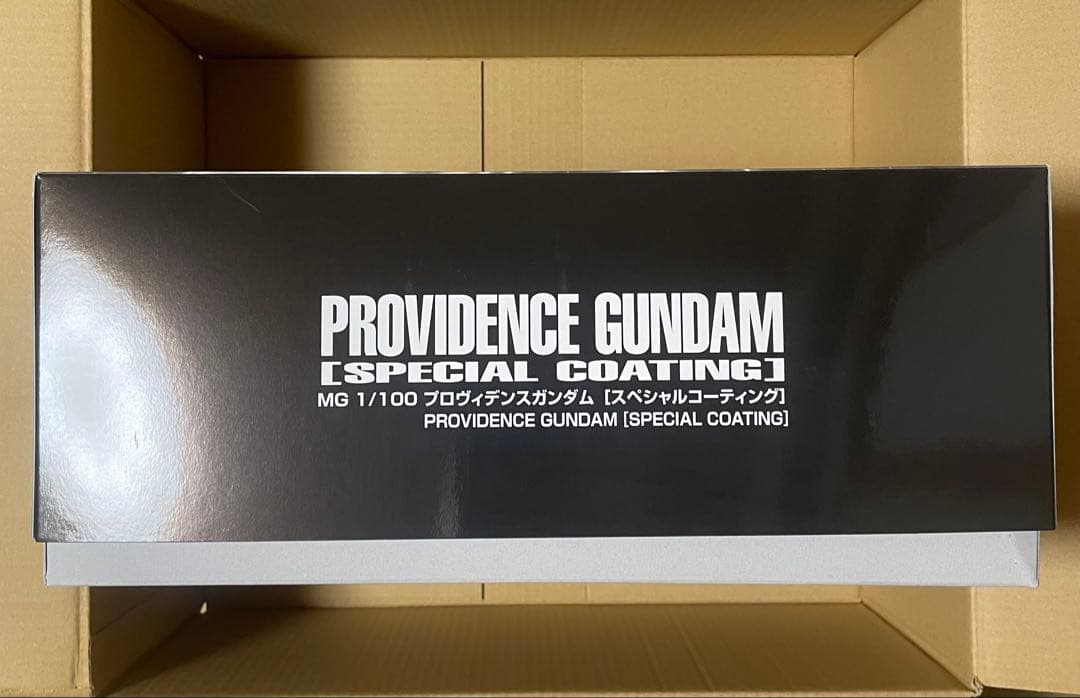 ＭＧ 1/100 プロヴィデンスガンダム スペシャルコーティング【再販】
