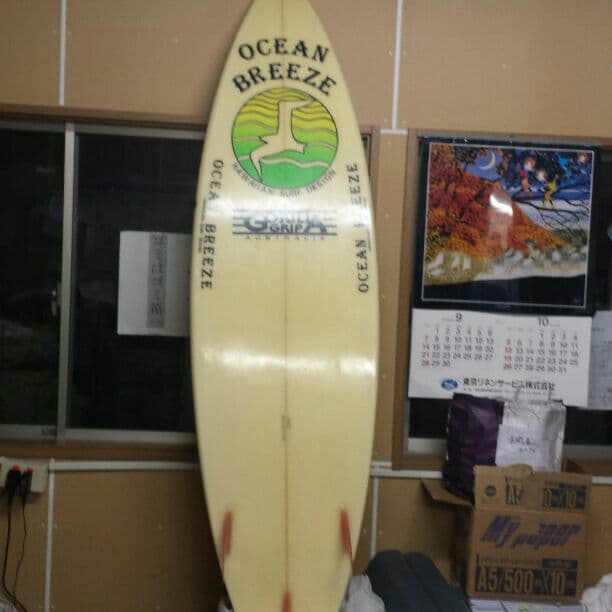 今日まで8000円にしておきます！その後はシーズン入るので値上げします！