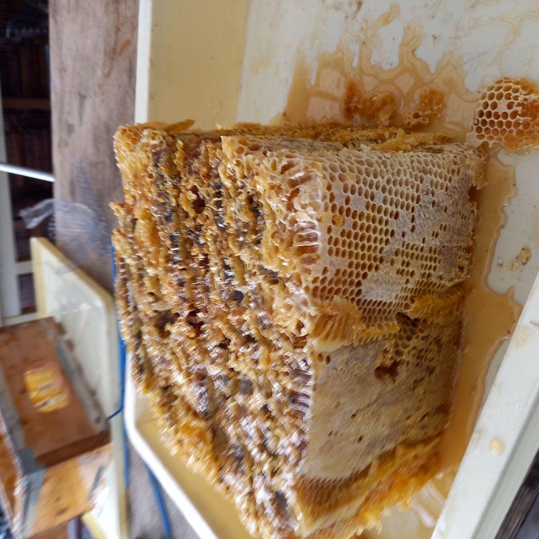 結晶濃厚ハチミツ（600g✕2）