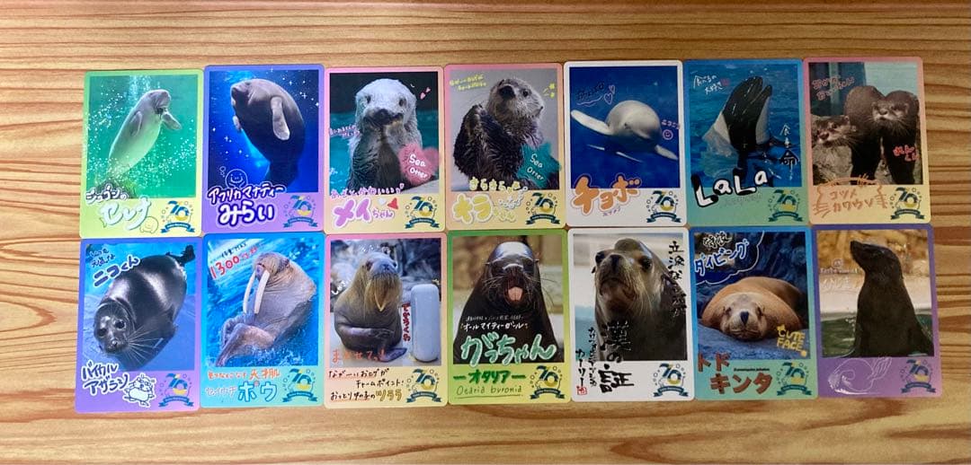 鳥羽水族館70周年記念コレクションカード72種