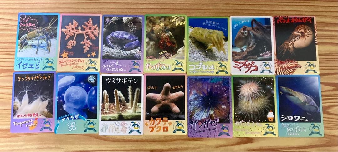 鳥羽水族館70周年記念コレクションカード72種