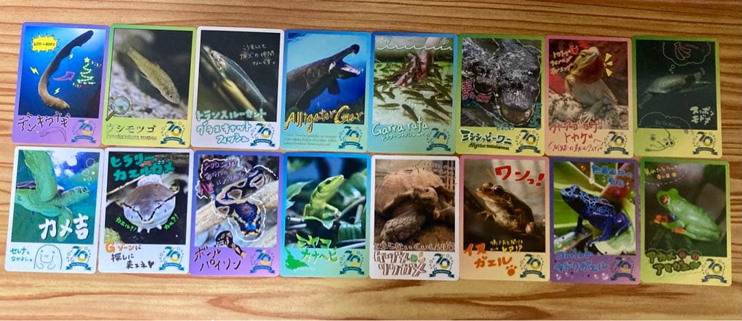 鳥羽水族館70周年記念コレクションカード72種