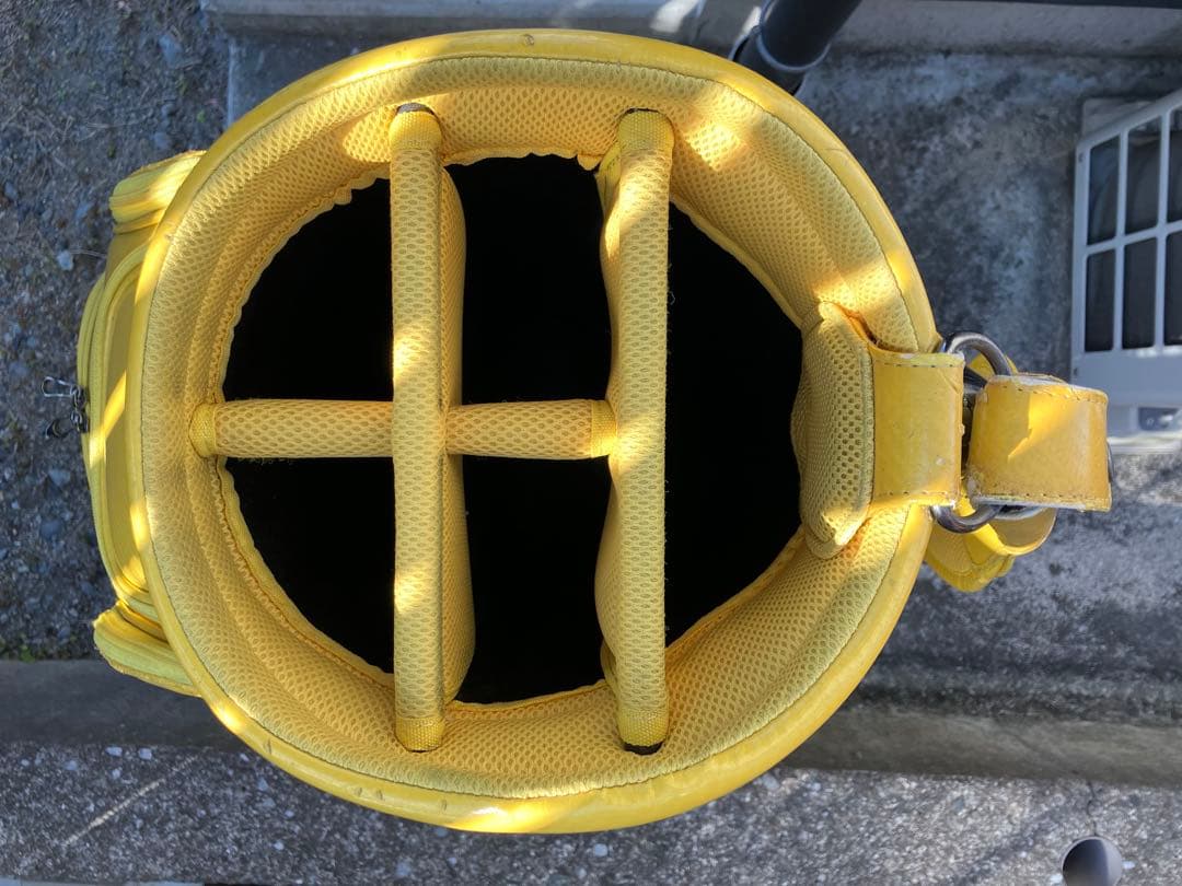 ミズノ　キャディーバッグ