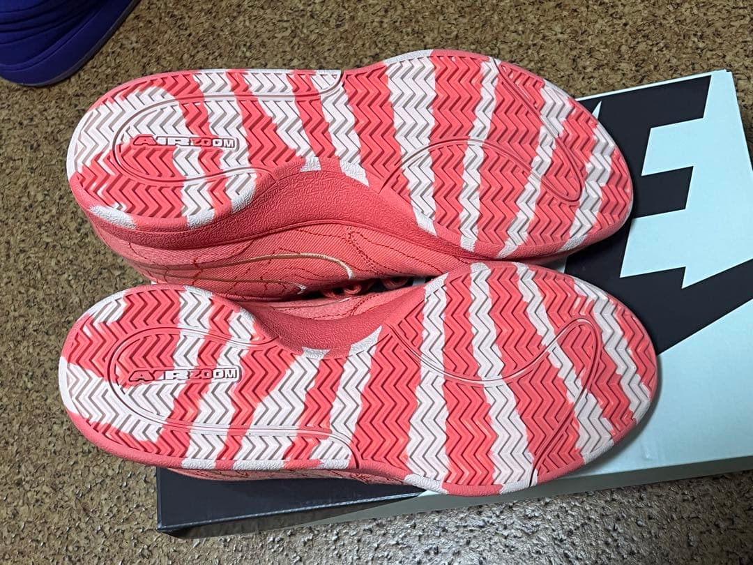 シューズ(男性用) NIKE BOOK1 EP Sedona 27.5