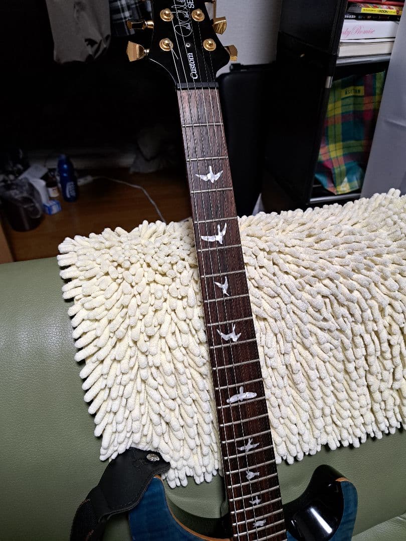 ギター PRS SE custom 24 Modify vegatrem