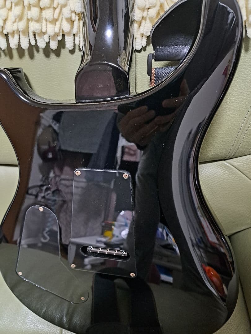 ギター PRS SE custom 24 Modify vegatrem