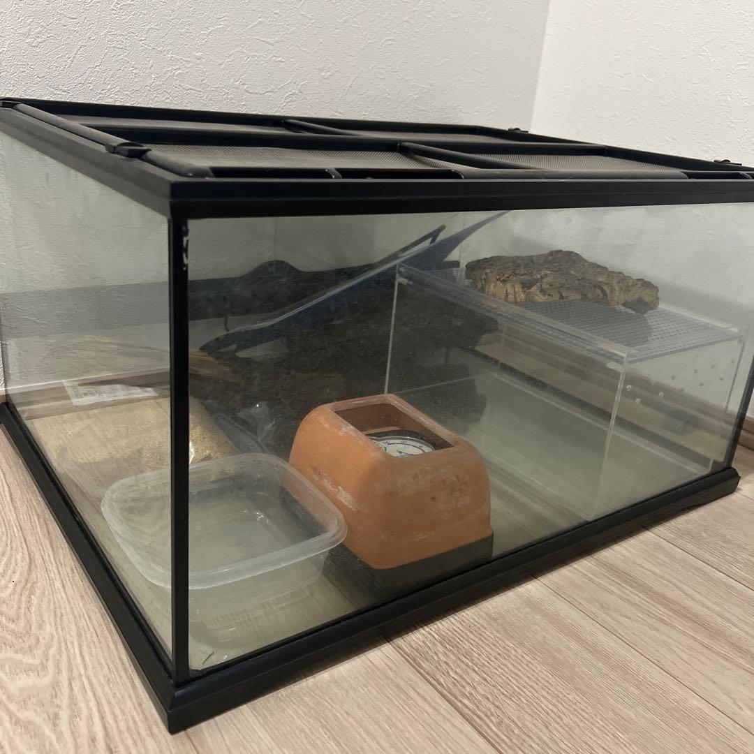 引き取り限定　グラステラリウム6030