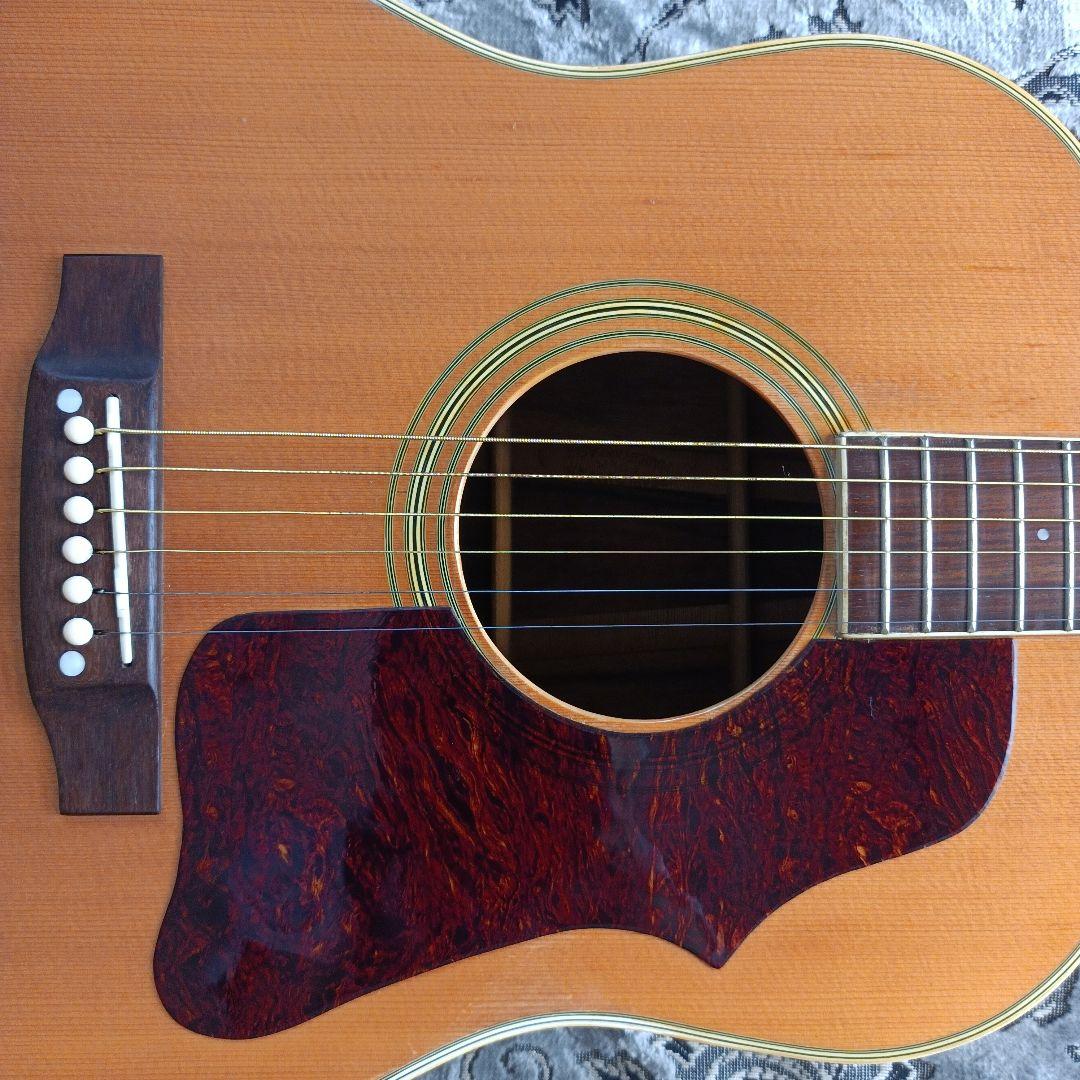 J-50モデル ラウンドショルダー Pearl パールTF-145 ヴィンテージ