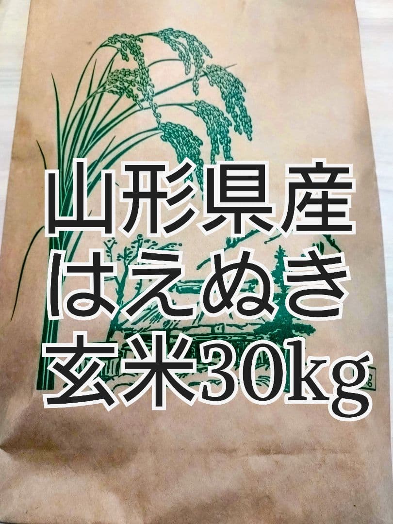 山形県産はえぬき　玄米30kg