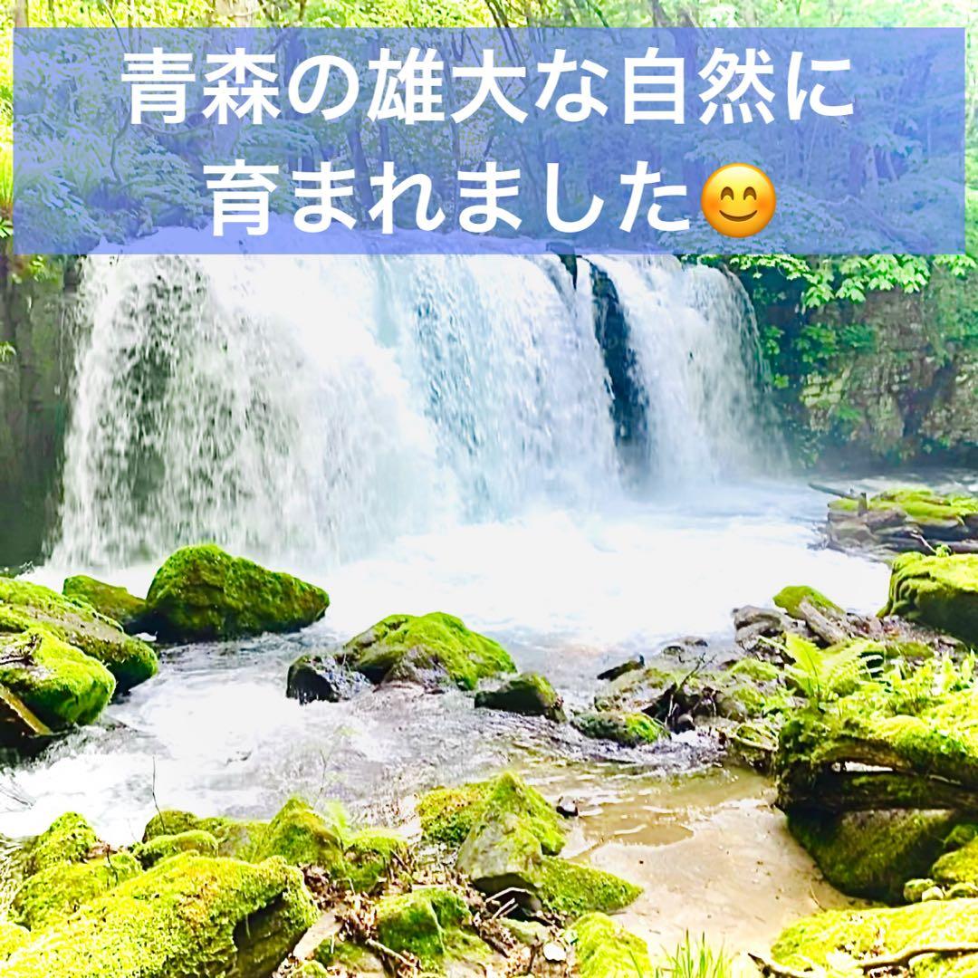 タネ にんにく 消毒済み 中大混合 青森県産 福地ホワイト六片 種用ニンニク