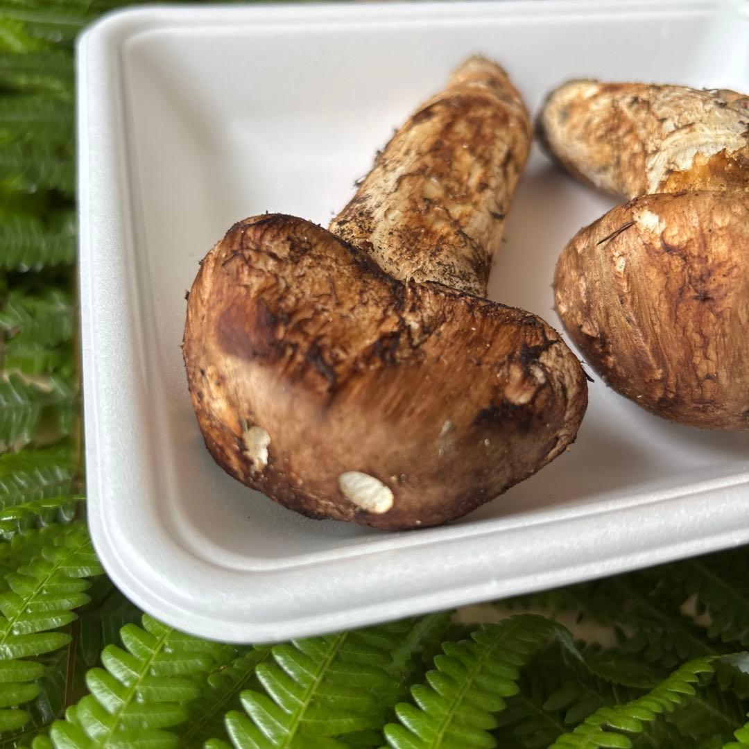 広島県産 松茸 ３本（163g）②