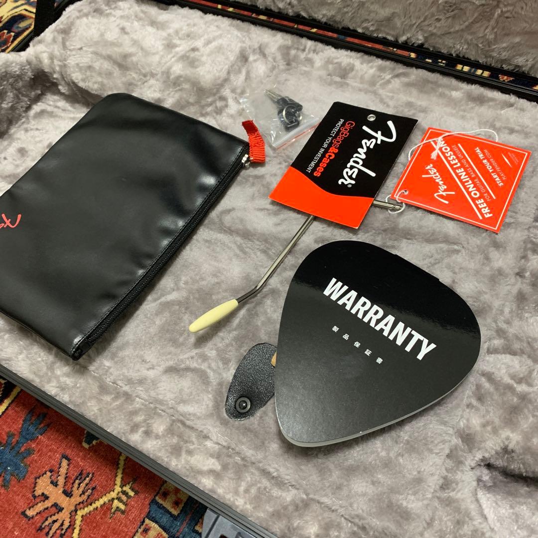 FenderAmericanProfessional IIストラトマイアミブルー