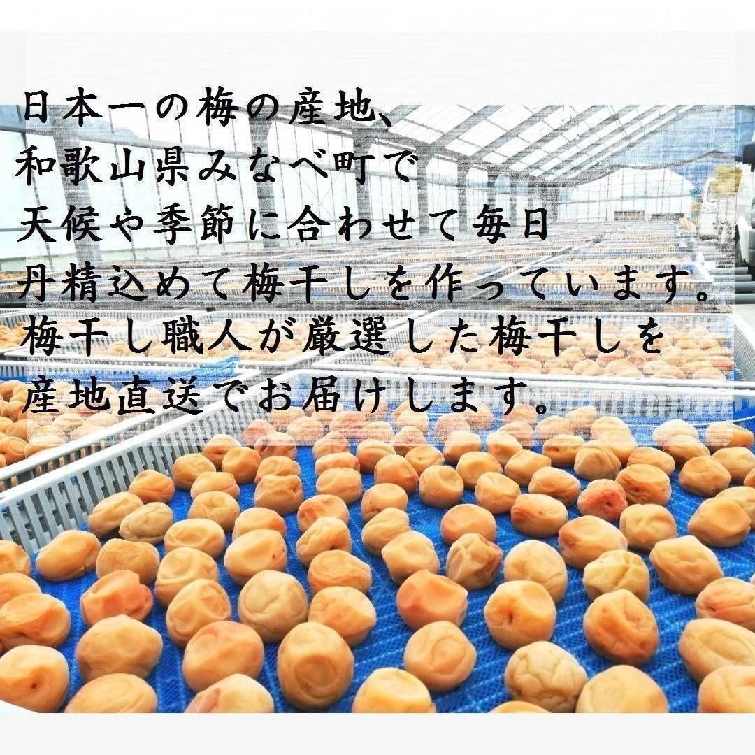 【長期保存に極小切れ10kgLサイズ】天日塩と梅だけの紀州南高梅※在庫わずか！