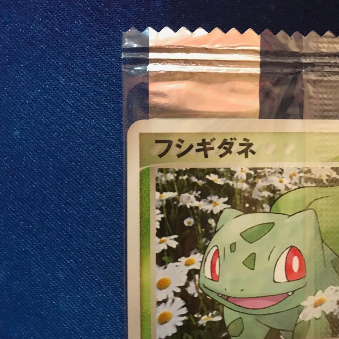 《未開封》フシギダネ meijiプロモカード