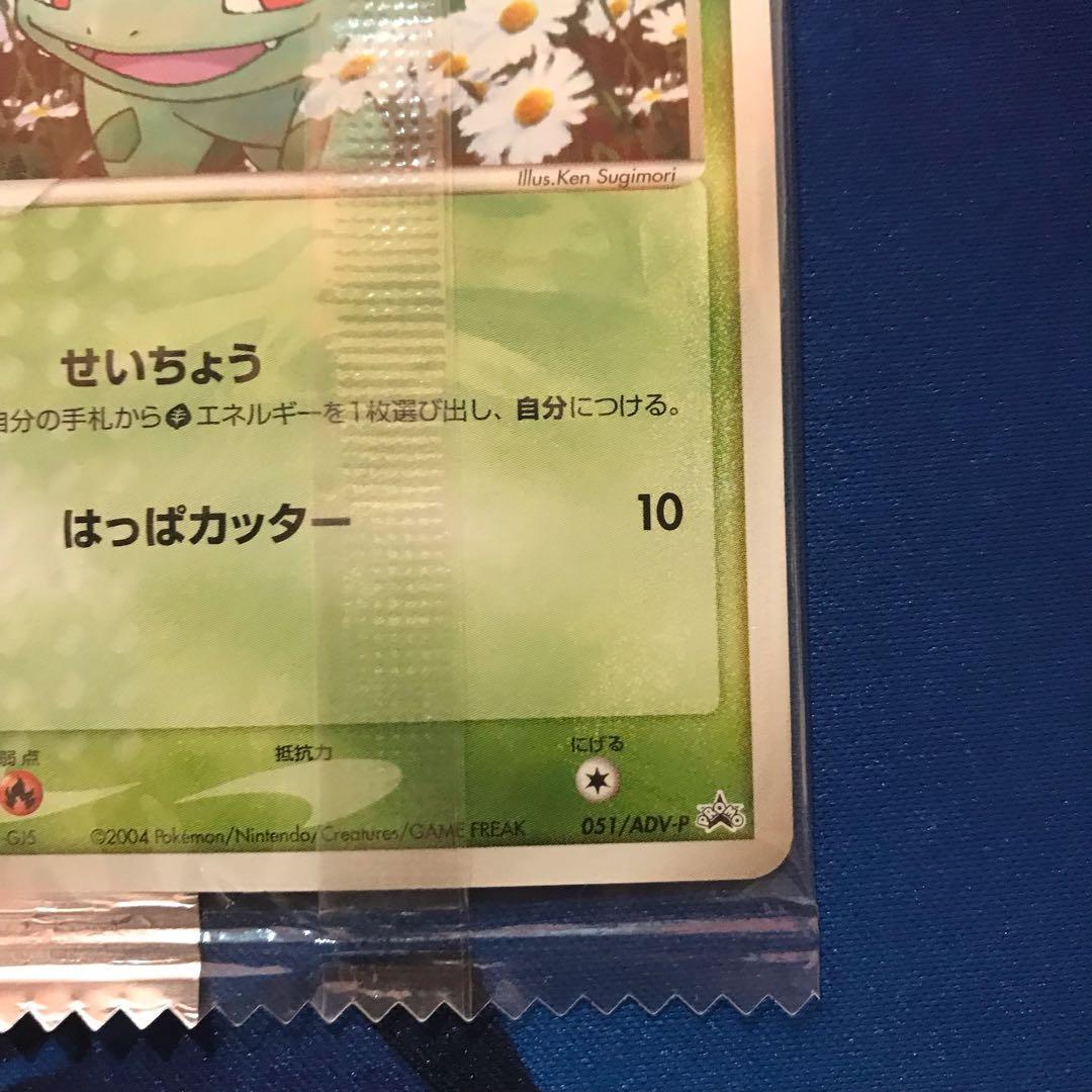 《未開封》フシギダネ meijiプロモカード