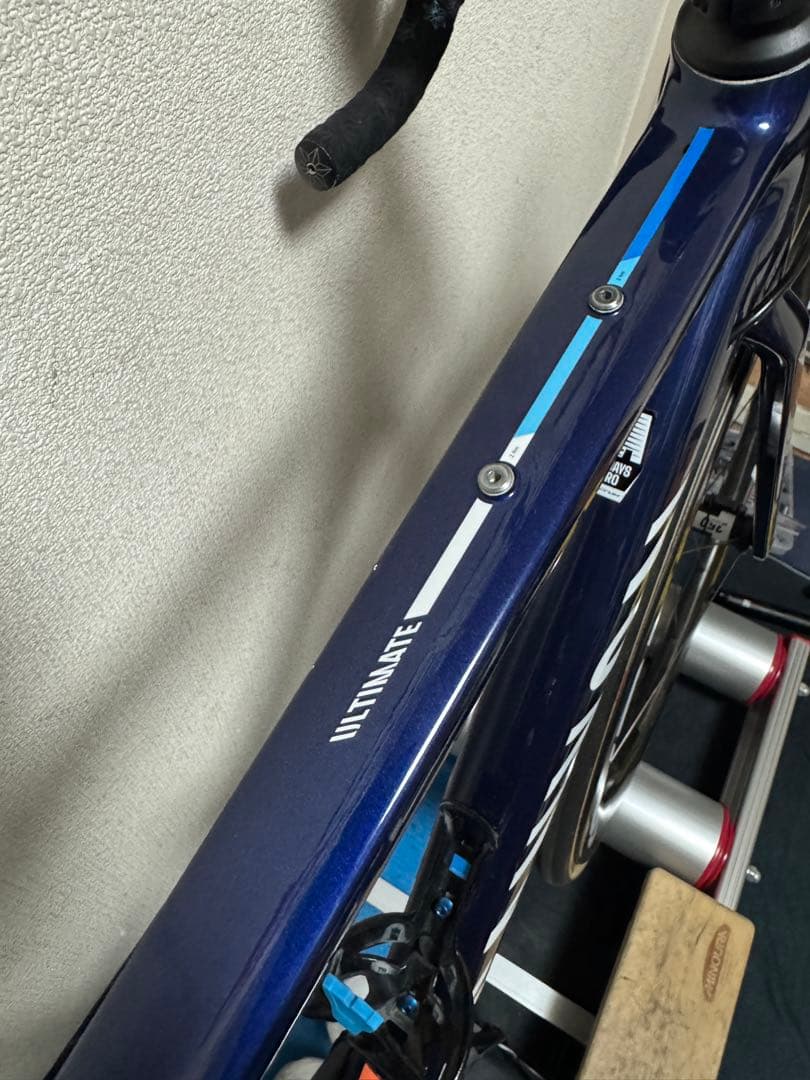 キャニオン　アルティメット　ヤングヒーロー