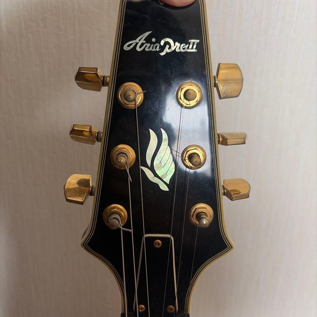 Ariapro2 FA-65 フルアコースティックギター