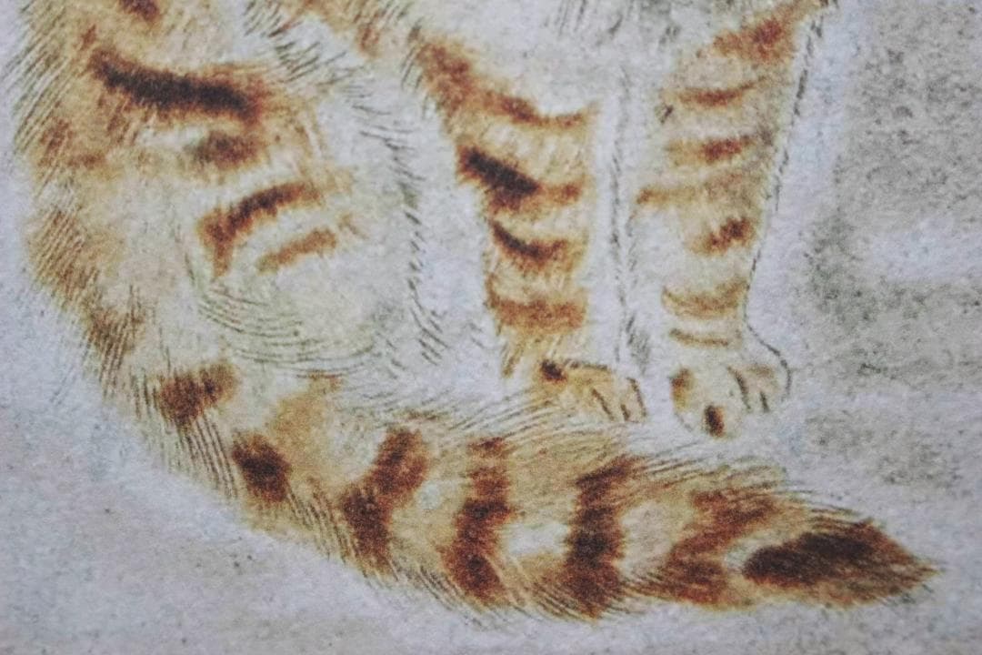 藤田嗣治 エスタンプリトグラフ 茶色い猫 5/75