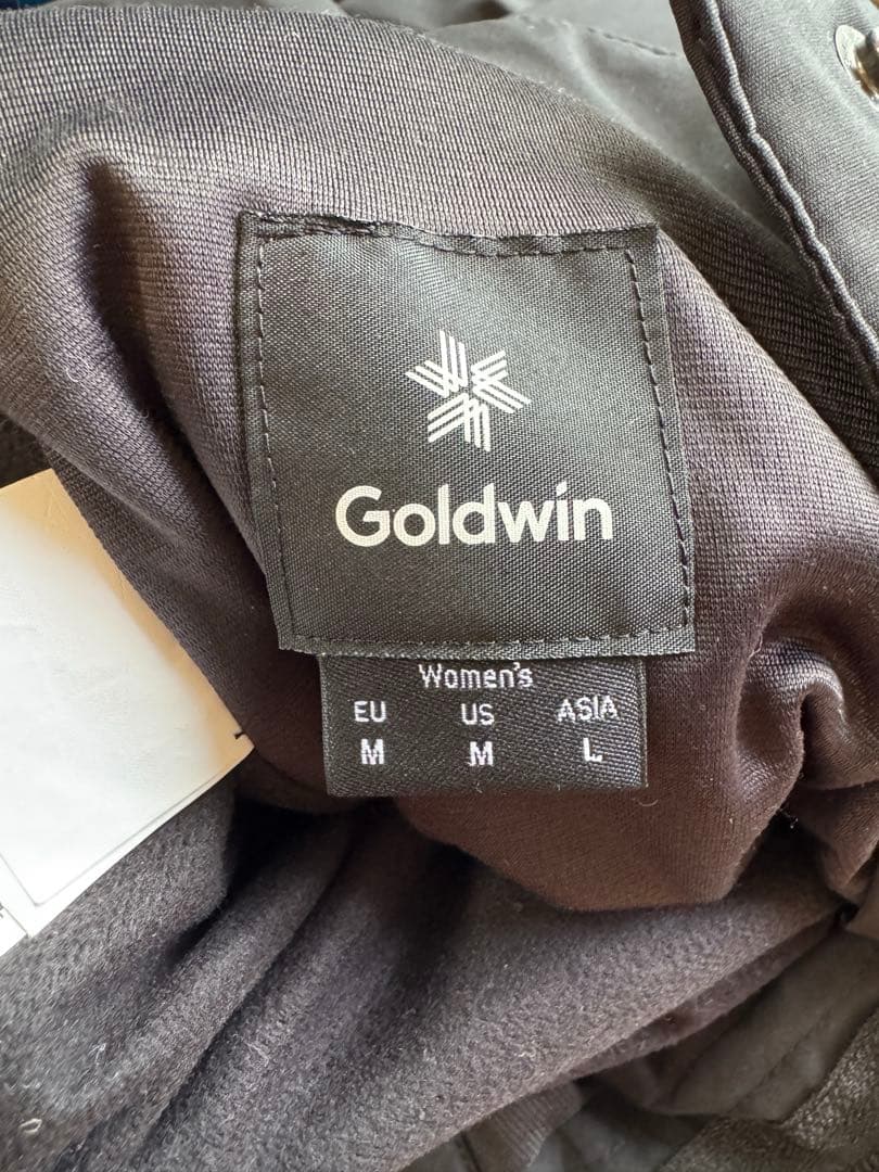 GOLDWIN スキーウェア上下セット レディース