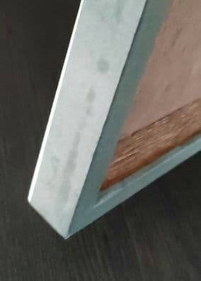 【一点物】　レントゲン魚拓　舌平目