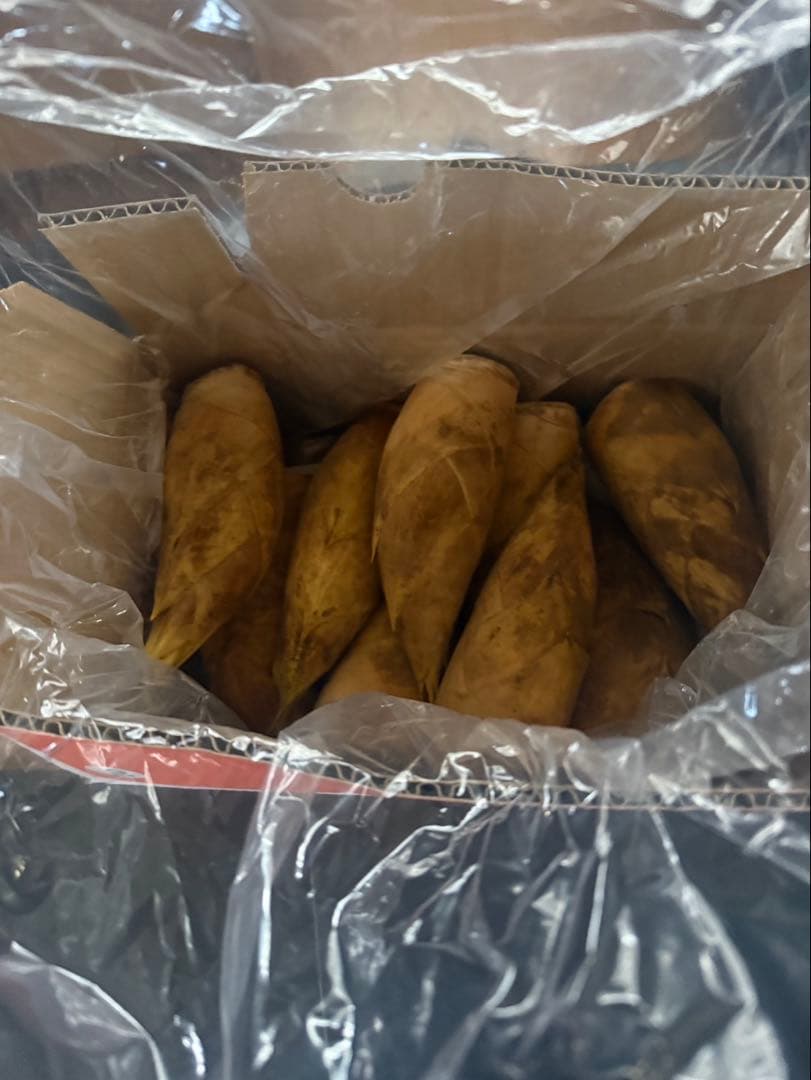 徳島県産 たけのこ 約2kg タケノコ 筍