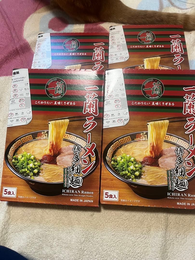 一蘭 ラーメン 5食入り　4箱