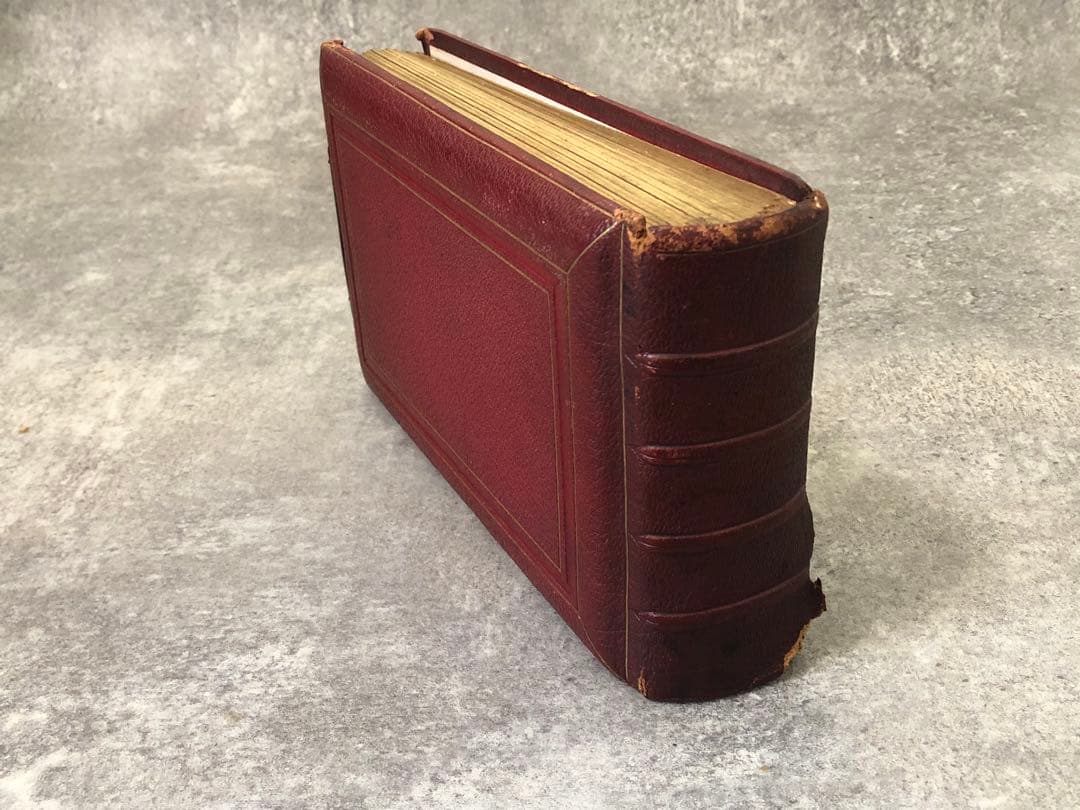 フランス　写真　アルバム　古写真　当時物　書