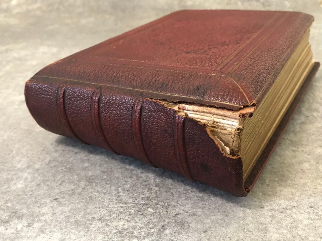 フランス　写真　アルバム　古写真　当時物　書