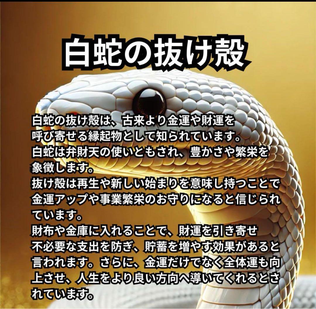 白蛇の脱皮殻 金運・財運のお守り