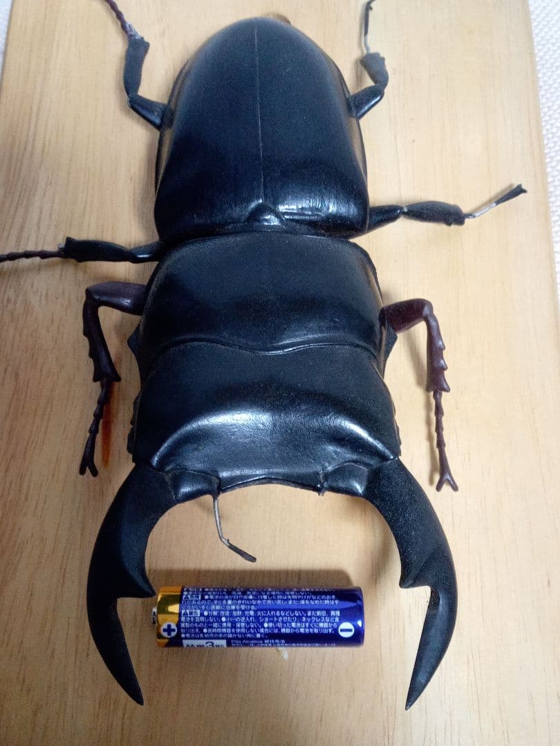 インドアンタエウス、クワガタフィギュア