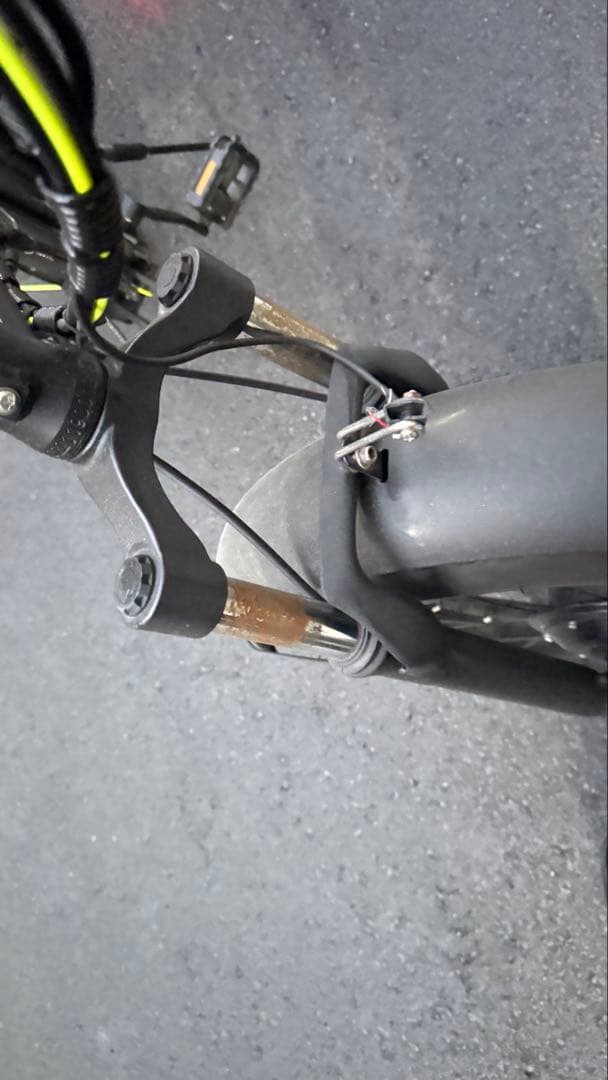 fry fish電動自転車