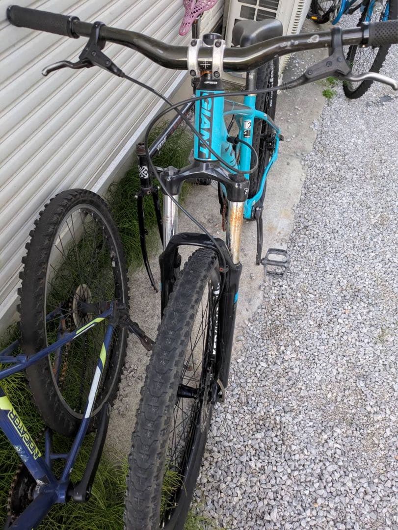 【訳あり】GIANT タロン