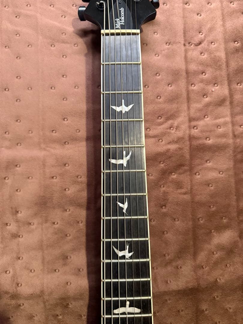 PRS SE Holcomb SVN / Purple Burst 廃盤モデル