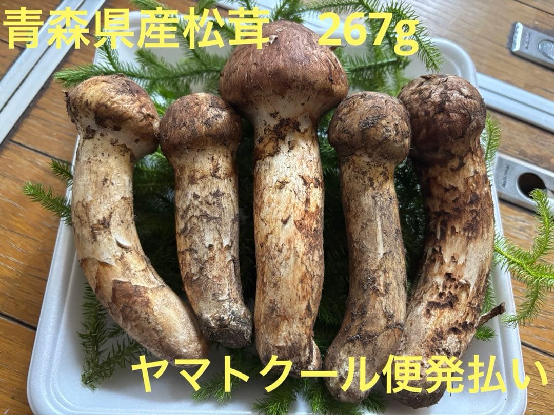 青森県産　松茸　マツタケ　267g
