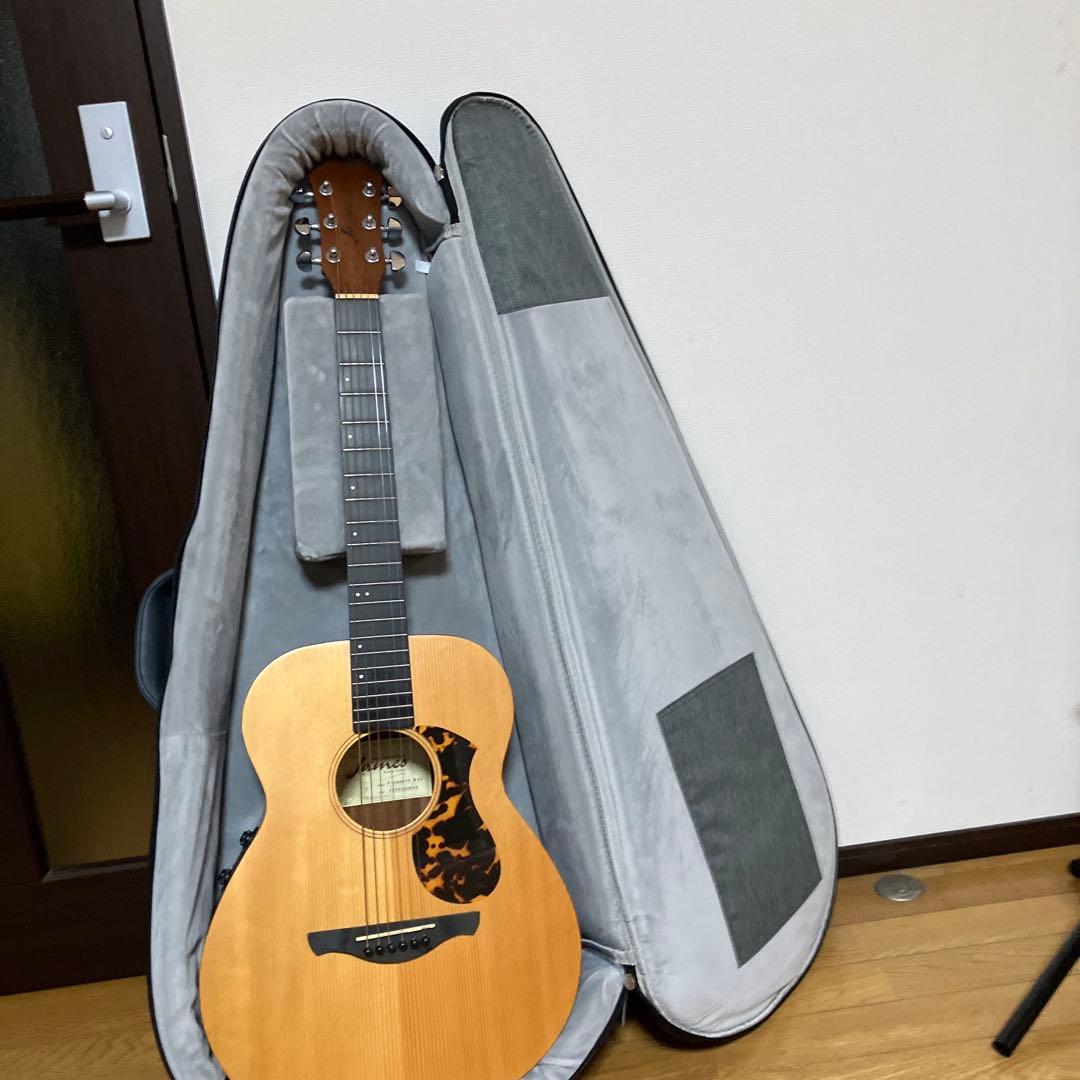 JAMES　エレアコ　アコースティックエフェクトシステム　取説付き　おまけ付き