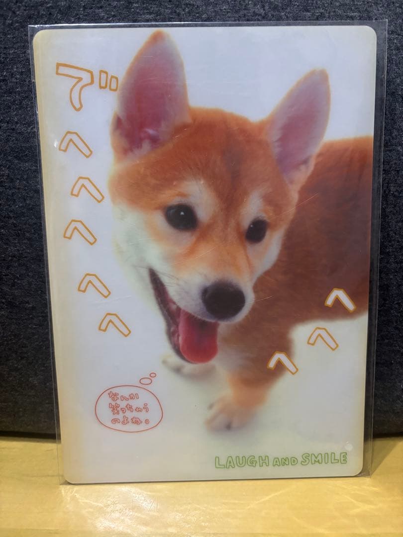 希少平成レトロ柴犬下敷きA5サイズ