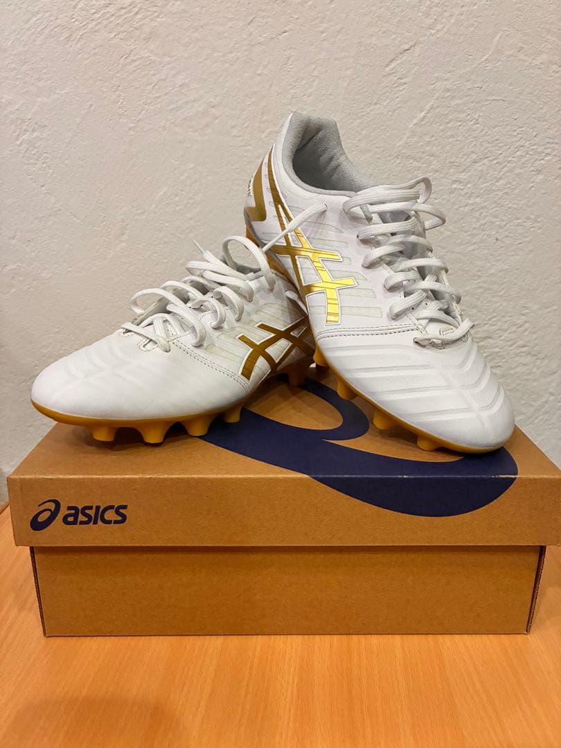 ASICS DS LIGHT ADVANCE　25.0cm