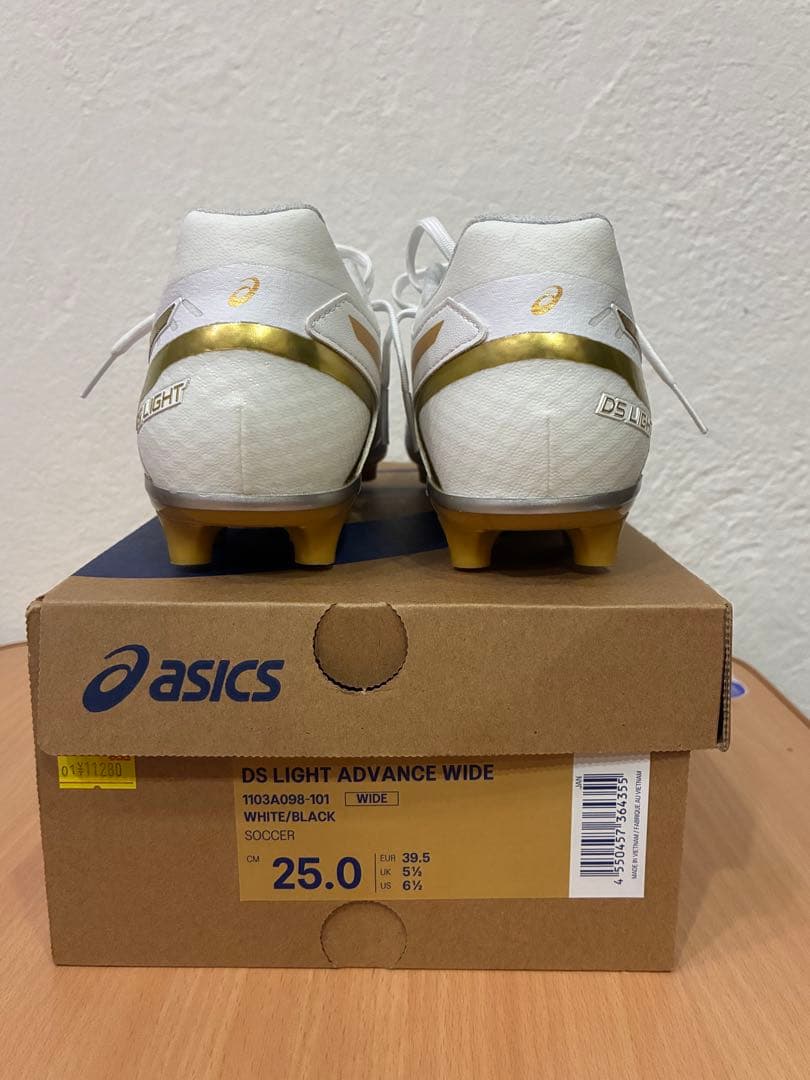 ASICS DS LIGHT ADVANCE　25.0cm