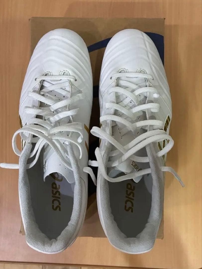 ASICS DS LIGHT ADVANCE　25.0cm