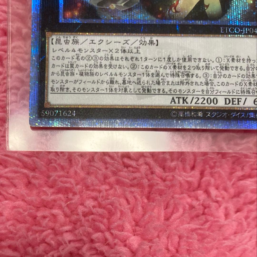 遊戯王　アロメルスの蟲惑魔　20th シークレットレア　未使用品