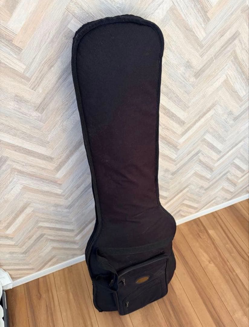 ダンカン搭載 Squire Affinity Jazz Bass V カスタム品