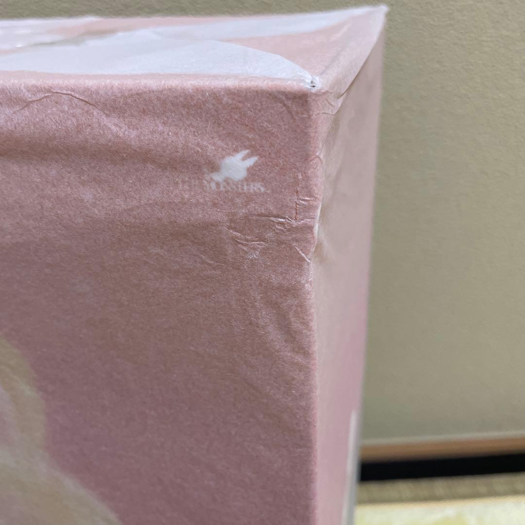 ラブブ　ROCK THE UNIVERSE Vinyl PlushDoll