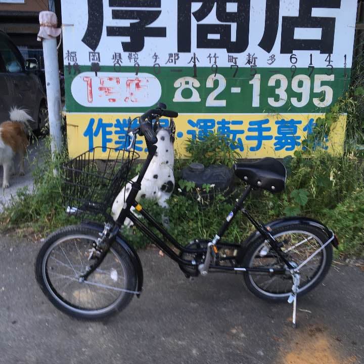 自転車20インチ ブラック