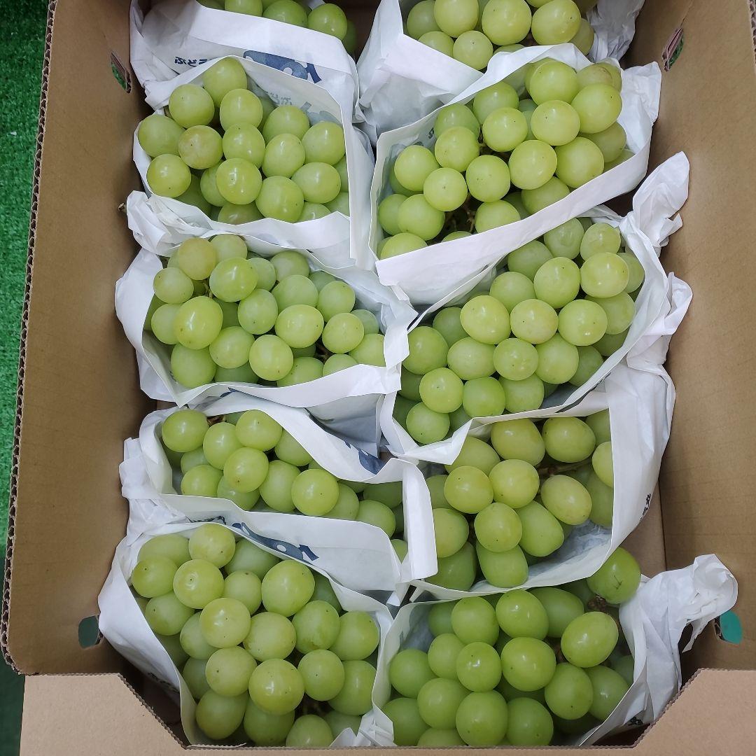 2️⃣ 山梨県産 激甘 シャインマスカット １０房入り 箱込み4.9キロ